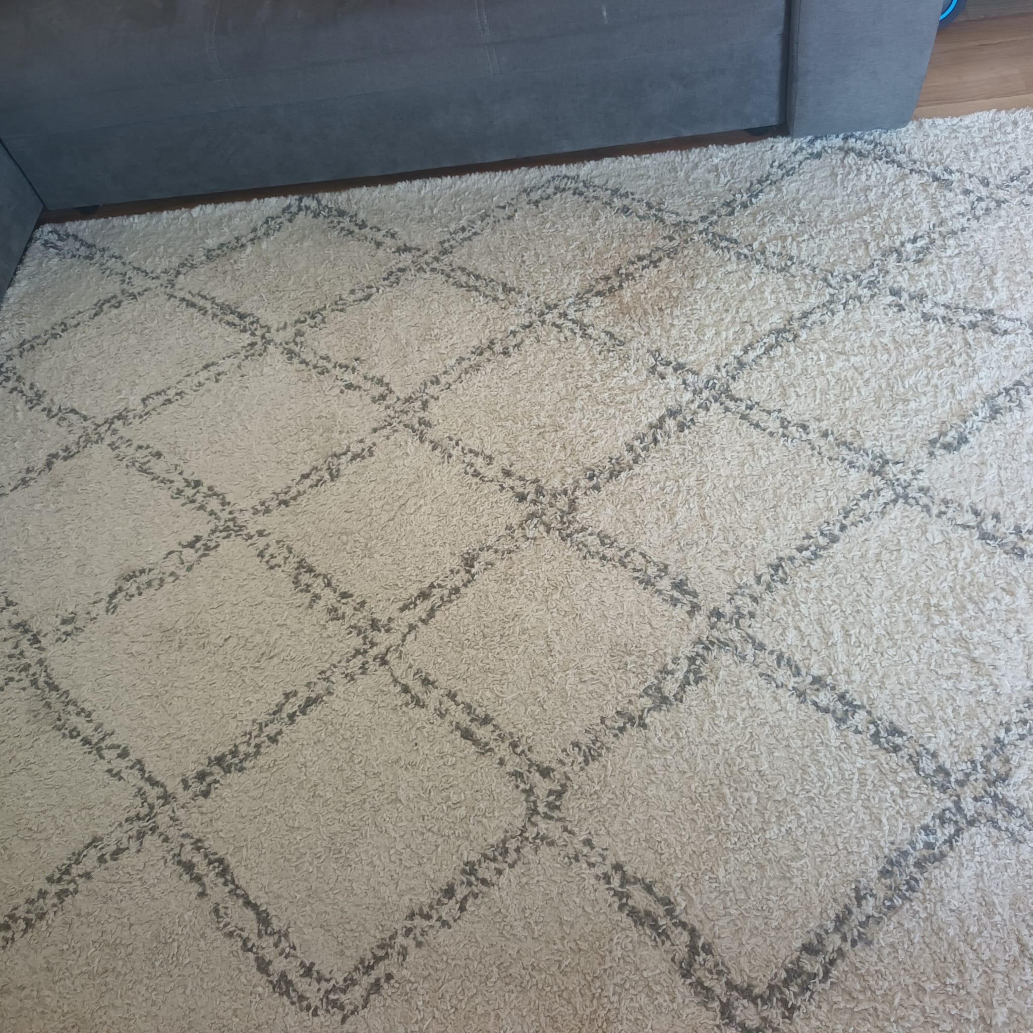 Tepih prije temeljitog i kemijskog čišćenja - SantClean